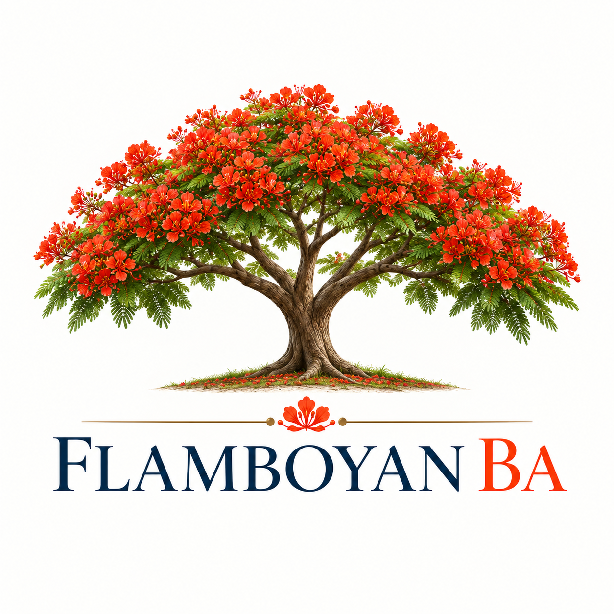 El flamboyán representa nuestra esencia: ayudar a los negocios a crecer sobre bases firmes. Simboliza organización, estabilidad y crecimiento.